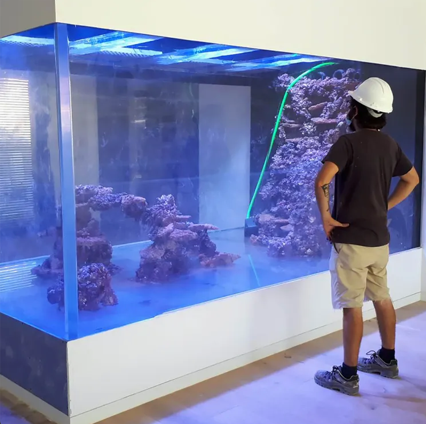 Why Acrylic is the Best Choice for Large Aquariums Over 150 Gallons: Strength, Clarity, and Design Flexibility