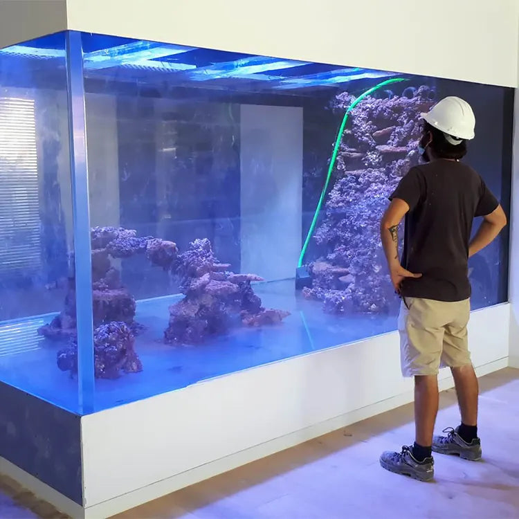Modern acrylic aquarium with sleek design, ideal for high-end offices and restaurants
